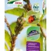 Lieveheersbeestjes Larven Tegen Bladluizen (DCM Adali-GuardĀ®) 1 Lieveheersbeestjes Larven Tegen Bladluizen (DCM Adali-GuardĀ®) -Garden Plants Series Store 5413448123852