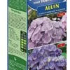 DCM Blauwmaker Hortensia's - Aluin