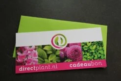 Cadeaubon - Ter Waarde Van 50 Euro