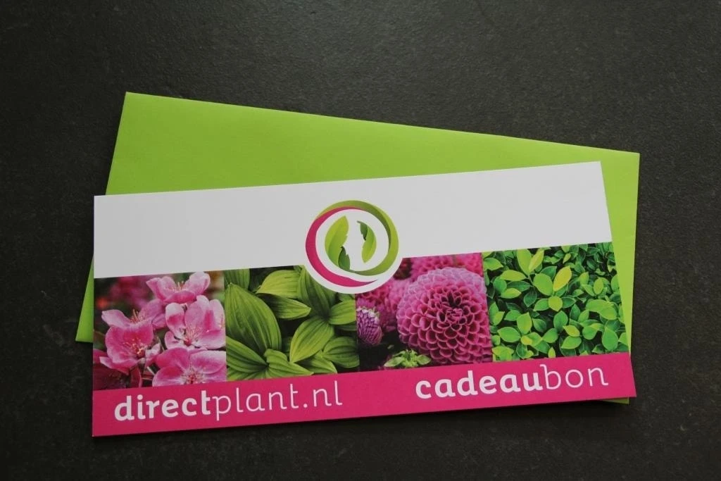 Cadeaubon - Ter Waarde Van 50 Euro
