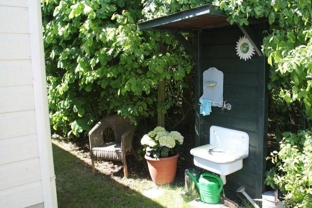 Hortensia (Hydrangea 'Endless Summer The Bride') 7 Hortensia (Hydrangea 'Endless Summer The Bride') - Image 5